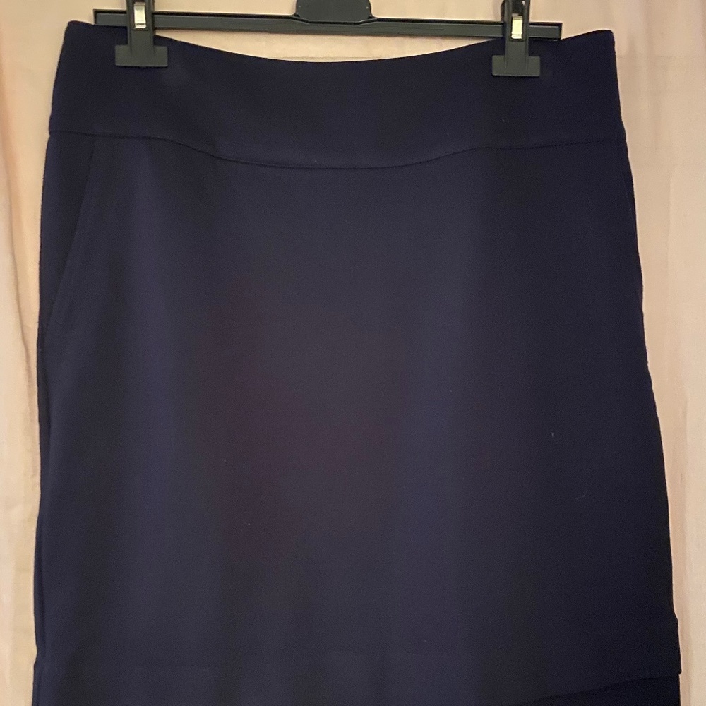 CAbi skirt